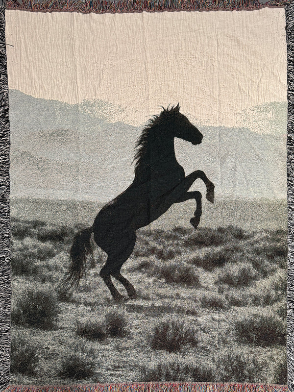 Stallion Blanket