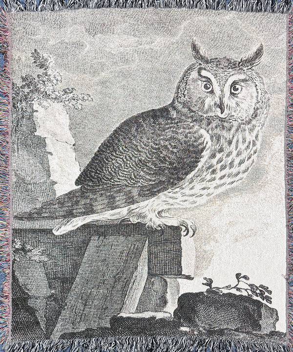 Owl Etching Blanket
