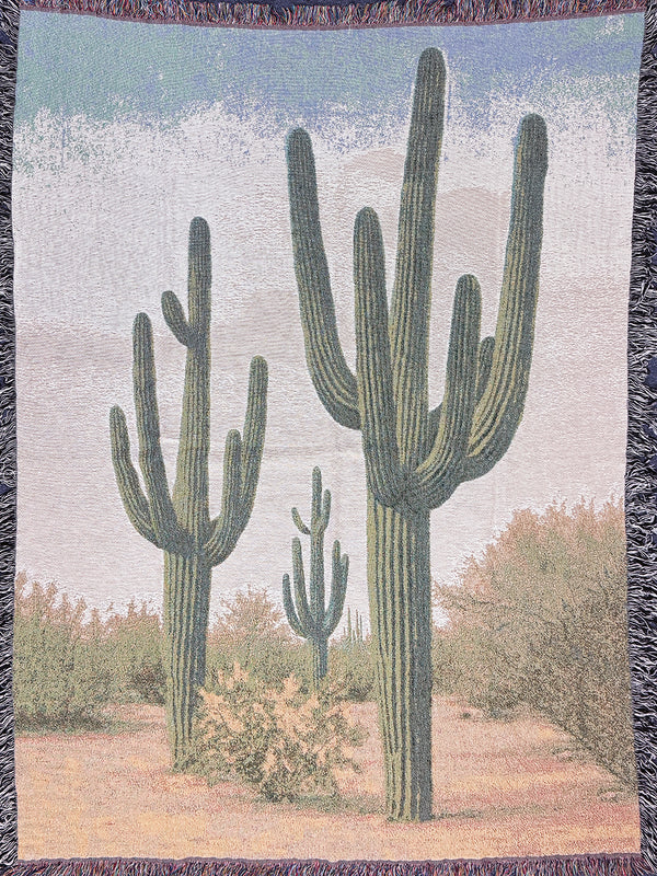 Desert Landscape Blanket