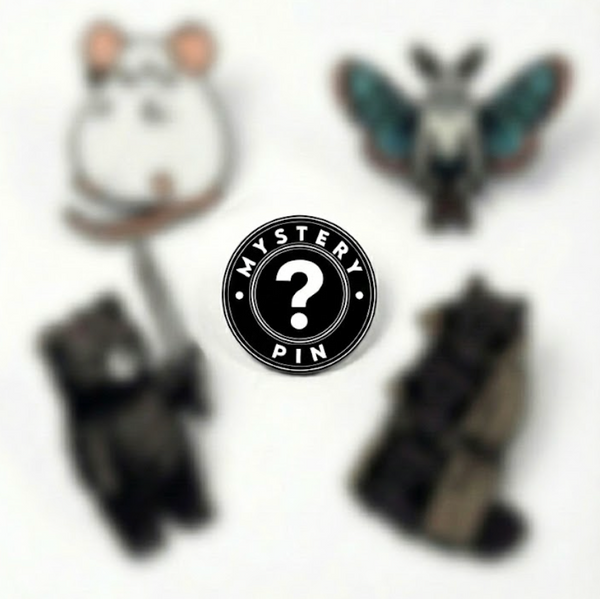 Random Mystery Pin